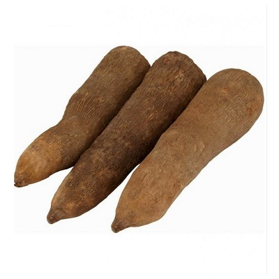 Nigerian and African Yam Tubers - Neogric 6