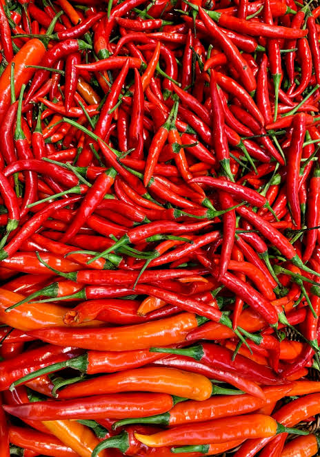 Chili-Pepper-Top-Exporter-Supplier-Neogric-Global-Agric-Sourcing-Solutions-Redefining-Africas-Agric-Supply-Chain-1