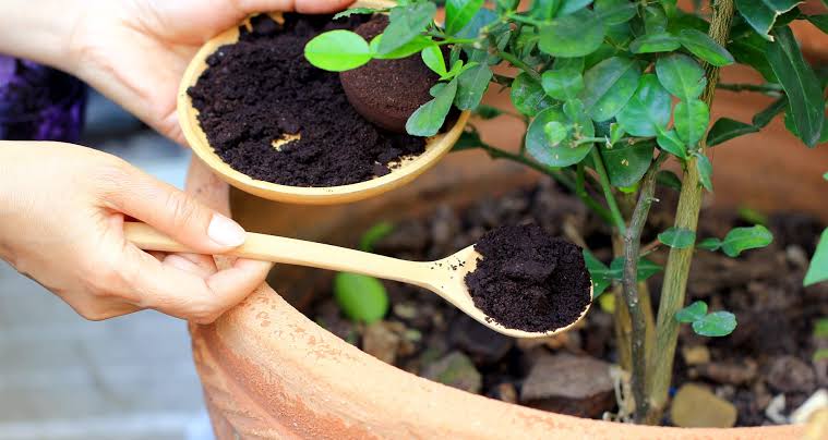 Organic Fertilizer: All You Need To Know About The Benefits, Procedures & Best Practices - Neogric - Global Agric Order Fulfilment