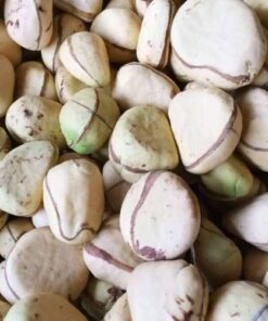 White-Kola-Nuts-Cola-Acuminata-Cola-Nitida-Top-Exporter-Supplier-Neogric-1