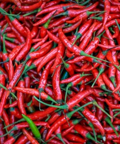 Neogric-Chili-Pepper-2