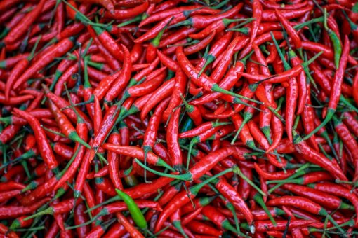 Neogric-Chili-Pepper-2