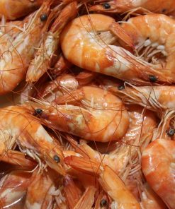 Neogric - Crayfish - Prawns (4)