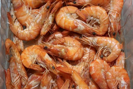 Neogric - Crayfish - Prawns (4)