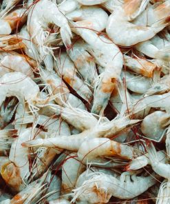 Neogric - Crayfish - Prawns (5)