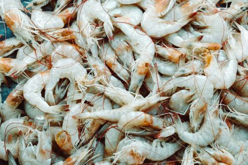 Neogric - Crayfish - Prawns (5)