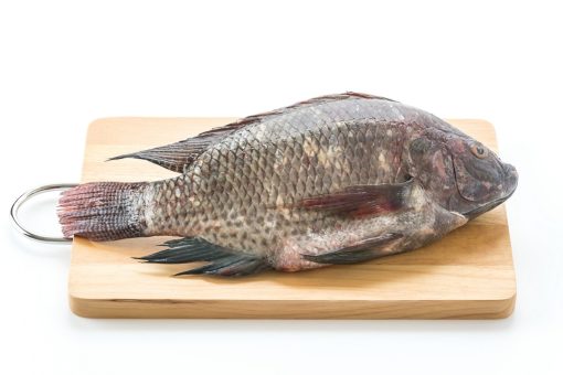 Neogric-Dried-Catfish-1