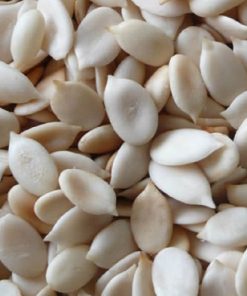 Neogric - Melon Seeds (1)
