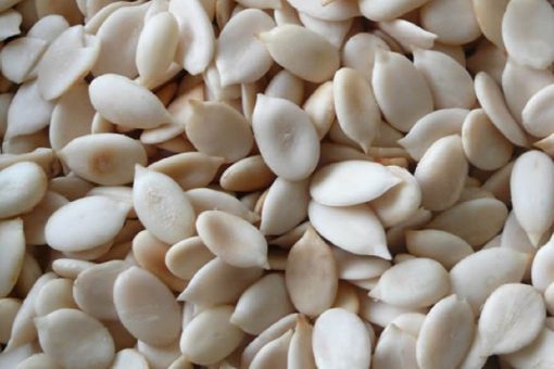 Neogric - Melon Seeds (1)